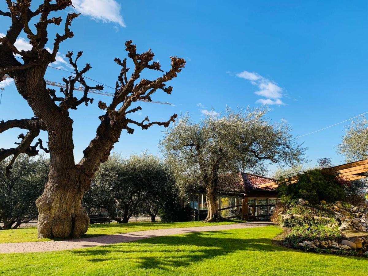 Agriturismo Le Tese Casa de hóspedes Colà Exterior foto